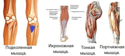 Артроскопия коленного сустава - клиника в Нижнем Новгороде - цены