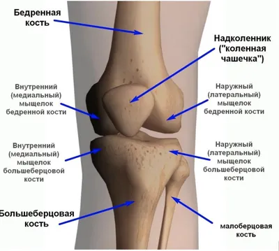Лечение коленного сустава в Нижнем Новгороде