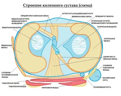 Тендинит коленного сустава