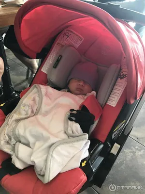 Doona stroller-car seat Is available... - Miami baby rentals | Facebook
