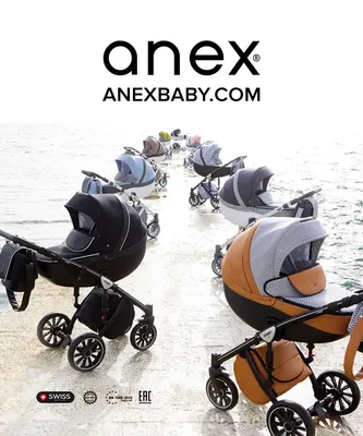 Детская коляска Anex E/Type 2 в 1 Noir