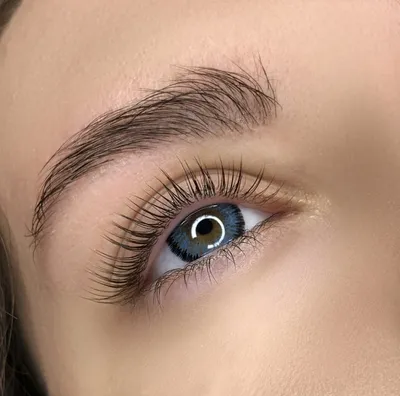 Magnolia Ilustuudio - ПЕРМАНЕНТНОЕ ЛАМИНИРОВАНИЕ РЕСНИЦ THUYA LIFTING +  LASH BOTOX — это лечебная процедура для натуральных ресниц. ☀ Данная  процедура позволяет увеличить длину, усилить изгиб Ваших собственных ресниц  и придать им