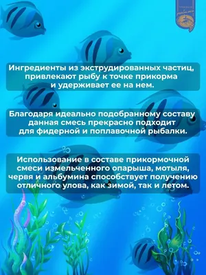 Как просто и очень быстро чистить кальмары? Статьи о рыбе м многом другом