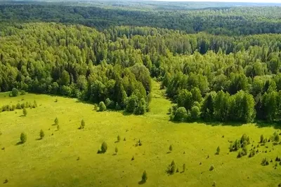 Заповедник Кологривский Лес и Кологрив