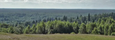 Государственный природный заповедник «Кологривский лес» имени М.Г. Синицына  - Природоохранный фонд «Верховье»