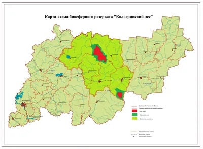 Заповеднику \"Кологривский лес\" исполнится десять лет - Российская газета