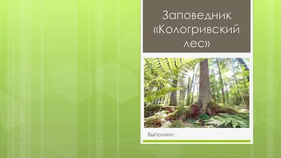 Научные исследования в заповеднике Кологривский лес | Новости РГАУ-МСХА