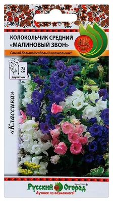 Колокольчик Диамант 0.15 г Gl Seeds - купить по лучшей цене в  Днепропетровской области от компании \"Agroretail.com.ua\" - 541909023