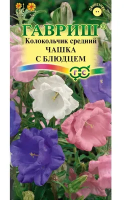 Семена колокольчика, СеДеК, Сновидение 0,1 г — купить в Омске по цене 16  руб за шт на СтройПортал