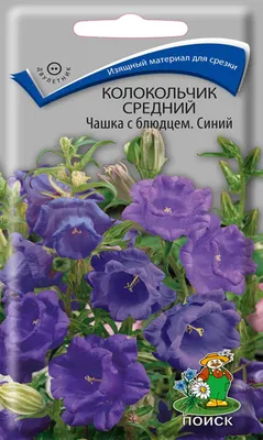 Цветы Колокольчик Звонница Лавандовые грёзы ЦВ/П (ГАВРИШ) 0,1гр двулетник  80см