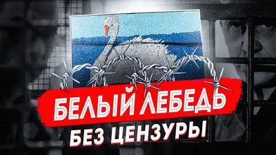 Белый Лебедь без цензуры: про самую жесткую тюрьму из первых уст |  Соликамск - YouTube