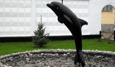 NEWSru.com :: В Оренбуржье из колонии \"Черный дельфин\" впервые сбежал  заключенный
