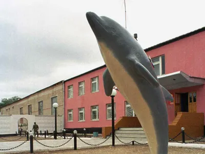 В колонии \"Черный дельфин\" заявили о других случаях побега заключенных —  25.10.2016 — В России на РЕН ТВ