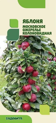 Яблоня Московское ожерелье: описание и характеристика сорта, выращивание и  уход, отзывы, фото и видео