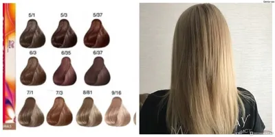 Wella Color Touch Краска для волос - Самая низкая цена