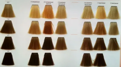 Wella Professionals Color Touch 10/6 интенсивное тонирование для волос  розовая карамель, 60мл - купить с доставкой по выгодным ценам в  интернет-магазине OZON (1138231308)