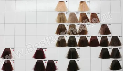 Краска для волос Wella ColorTouch Plus №66/07 - купить в Киеве |  Tufishop.com.ua