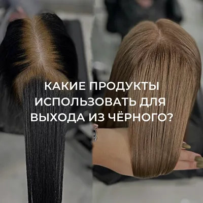 Окрашивание волос в Санкт-Петербурге: цены, фото до и после