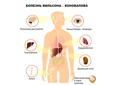 Яд или лекарство? | СНАБТЕХМЕТ | Дзен