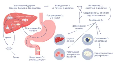 АТЛАСЫ ПО ОФТАЛЬМОЛОГИИ