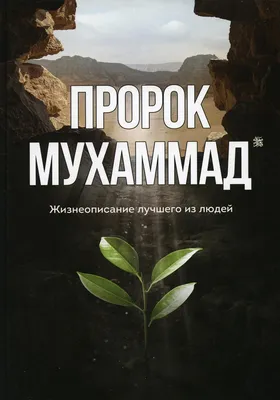 Отдел Фетв Муфтията РД - ✓№572 [НОШЕНИЕ КОЛЬЦА В ОТХОЖИЕ МЕСТА] ВОПРОС:  Можно ли заходить в отхожие места с кольцом и т. д., на котором написано  имя Всевышнего? ОТВЕТ: С именем Аллаhа!