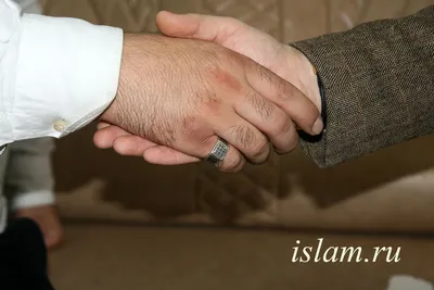 Что за загадочный перстень на мизинце у Рамзана Кадырова и почему у него  нет обручального кольца? Рассказываю | Чеченский след | Дзен