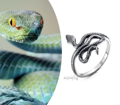 Кольцо \"Змея\" размер большой купить по цене 200 ₽ в интернет-магазине  KazanExpress