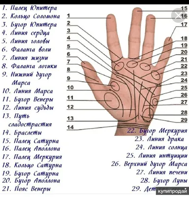 У вас есть этот редчайший знак на руке? Значит вы - настоящий счастливчик.  О чем говорит кольцо Соломона на ладони