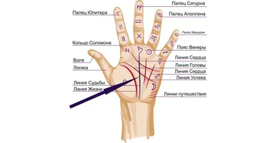 konstantin_palmistry