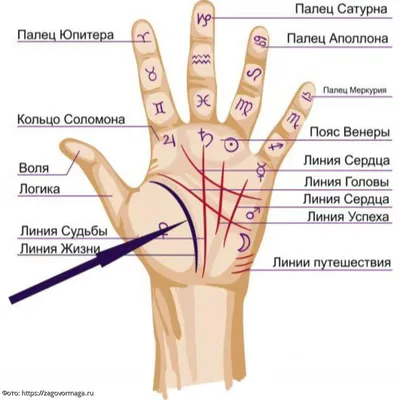 Хиромант XIII - Знак целителя на ладони! 🖐 ...\"Я направлю... | Facebook