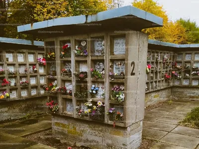 Кладбище-колумбарий крематория и Поле памяти в г. Санкт-Петербург |  Ритуальное агентство Санкт-Петербурга