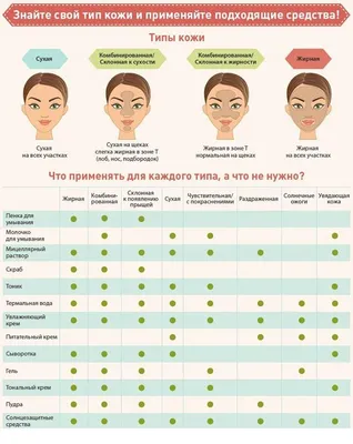 Как за 30 секунд определить тип кожи: понятная схема - Я Покупаю