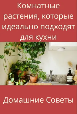 Домашние растения как часть интерьера - статьи про мебель в блоге «Гуд  Мебель»