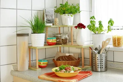 Купить Искусственные растения цветы для декора дома комнаты и кухни по  выгодной цене в интернет-магазине OZON.ru (1095833503)