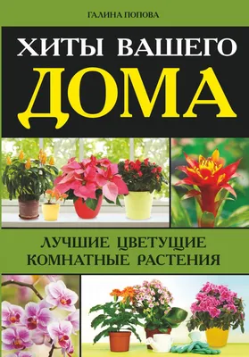 Книга Хиты Вашего Дома, лучшие Цветущие комнатные Растения - купить дома и  досуга в интернет-магазинах, цены на Мегамаркет | 184006