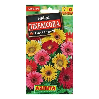 Гербера Микс - цена, купить комнатные растения с доставкой в Москве -  магазин ПРОСТОЦВЕТЫ
