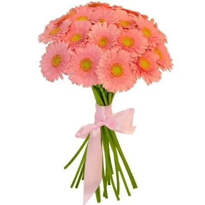 Купить Разноцветные герберы с доставкой в Омске - магазин цветов Трава