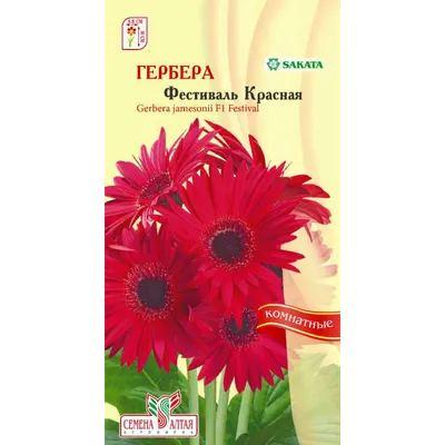 Букет цветов «Герберы в 25 лет» заказать с доставкой в Краснодаре по цене 4  330 руб.