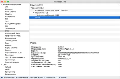 MacBook не видит iPhone: выясняем почему Mac не видит айфон? | MacRevvals