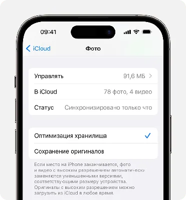 MacBook не видит iPhone: выясняем почему Mac не видит айфон? | MacRevvals