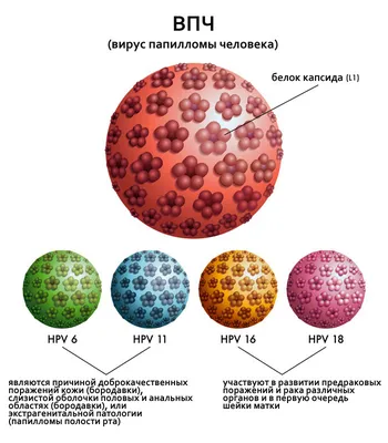 Что такое вирус папилломы человека и чем он опасен?