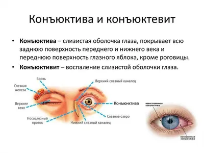 Дакриоцистит глаза: симптомы и лечение у детей и взрослых