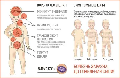 Третье веко у кошек: причины появления и лечение