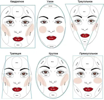 Принцип контурирования лица по его форме | Контурный макияж, Макияж для  создания контура, Формы лица