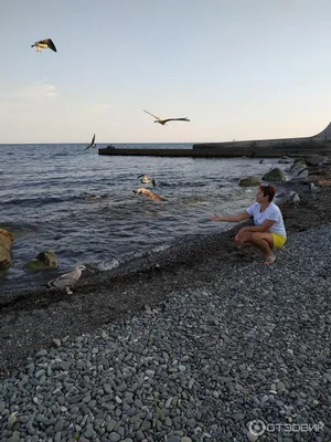 Эллинги Дельфин в Алуште, Отдых у самого моря - это реальность!, Алушта,  эллинги Дельфин