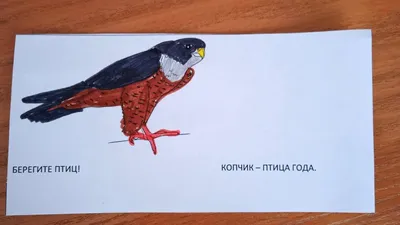 ДЮЦ - Копчик - птица символ года