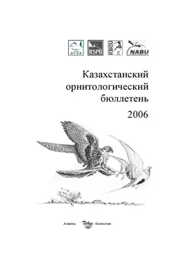 Казахстанский орнитологический бюллетень 2006 by Dmitriy Denisov - Issuu