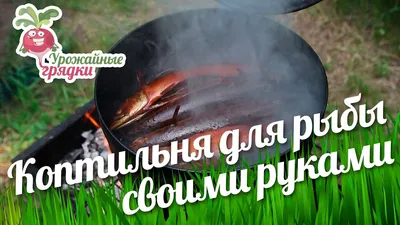Коптильня для рыбы своими руками #urozhainye_gryadki - YouTube