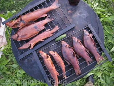 Коптильня походная Тонар сталь 1мм, для горячего копчения птицы, рыбы на  природе, даче, в походе, подарок рыбаку, охотнику | AliExpress