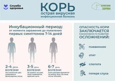 Непривитые взрослые переносят корь тяжелее, чем непривитые дети -  Аналитический интернет-журнал Власть